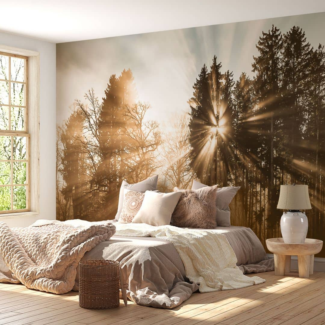 Fototapete Lichtstrahlen Im Wald | Waldtapete Fürs Schlafzimmer pertaining to Fototapete Schlafzimmer Ideen