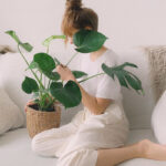 Natürlich Gut Schlafen Mit Schlafzimmer Pflanzen | Swissflex With Pflanzen Im Schlafzimmer Gut Oder Schlecht